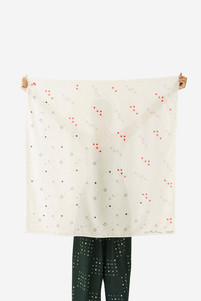 "Sejauh Mata Memandang X Tulus" - "Ruang Sendiri”- Scarf